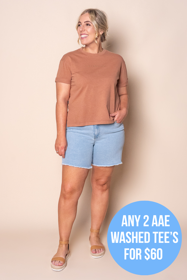 AAE Washed Tee in Cinnamon - All About Eve