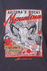 Rocky Mountain Standard Tee in Washed Black - All About Eve