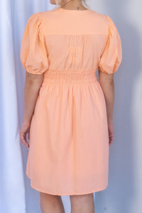 Zara Dress in Apricot