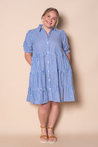 Reyna Striped Dress in Blue