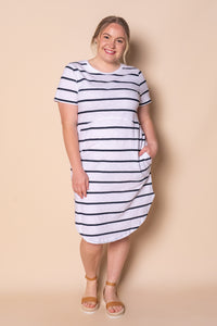 Bay Stripe Dress in White/Navy Stripe - Foxwood