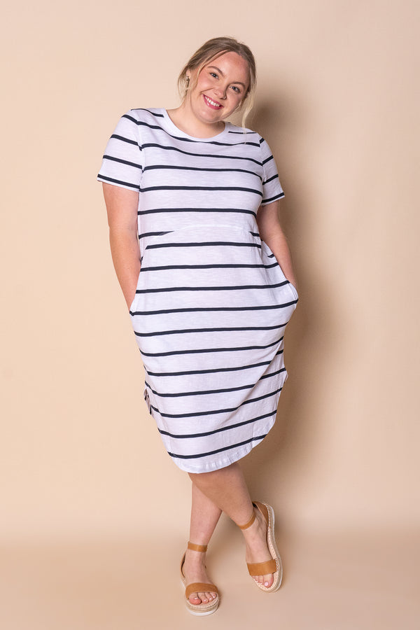 Bay Stripe Dress in White/Navy Stripe - Foxwood
