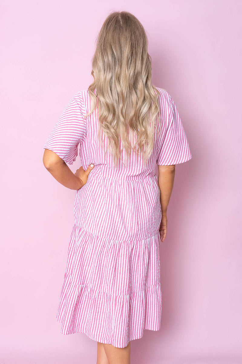 Darcy Dress in Pink