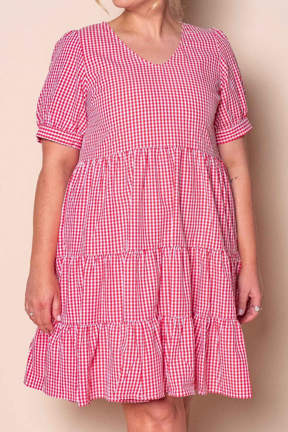 Yansi Gingham Dress in Red