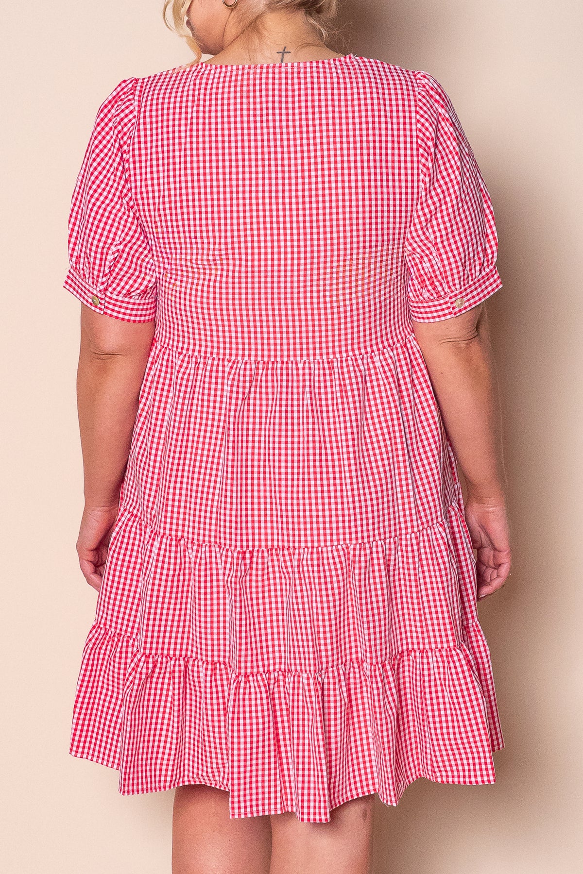 Yansi Gingham Dress in Red