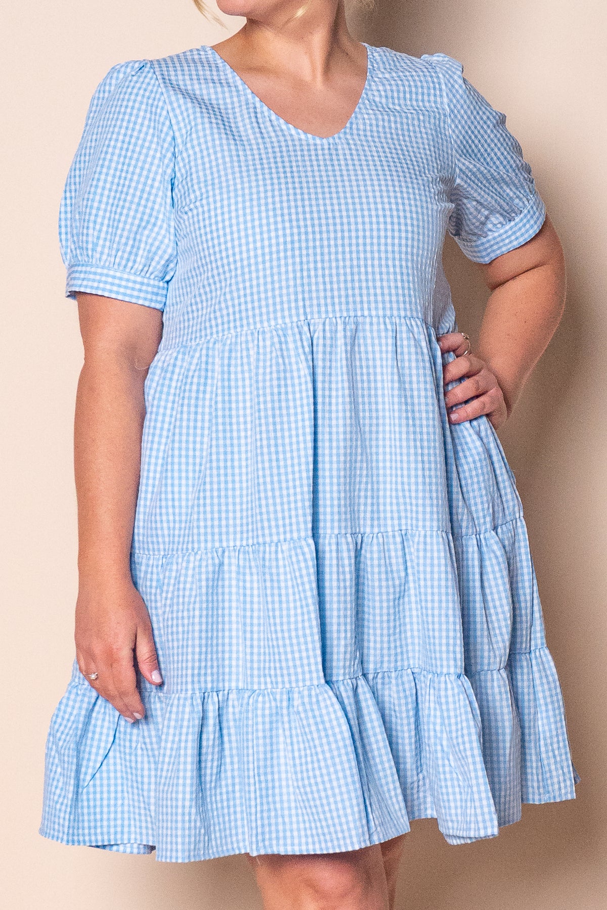 Yansi Gingham Dress in Blue