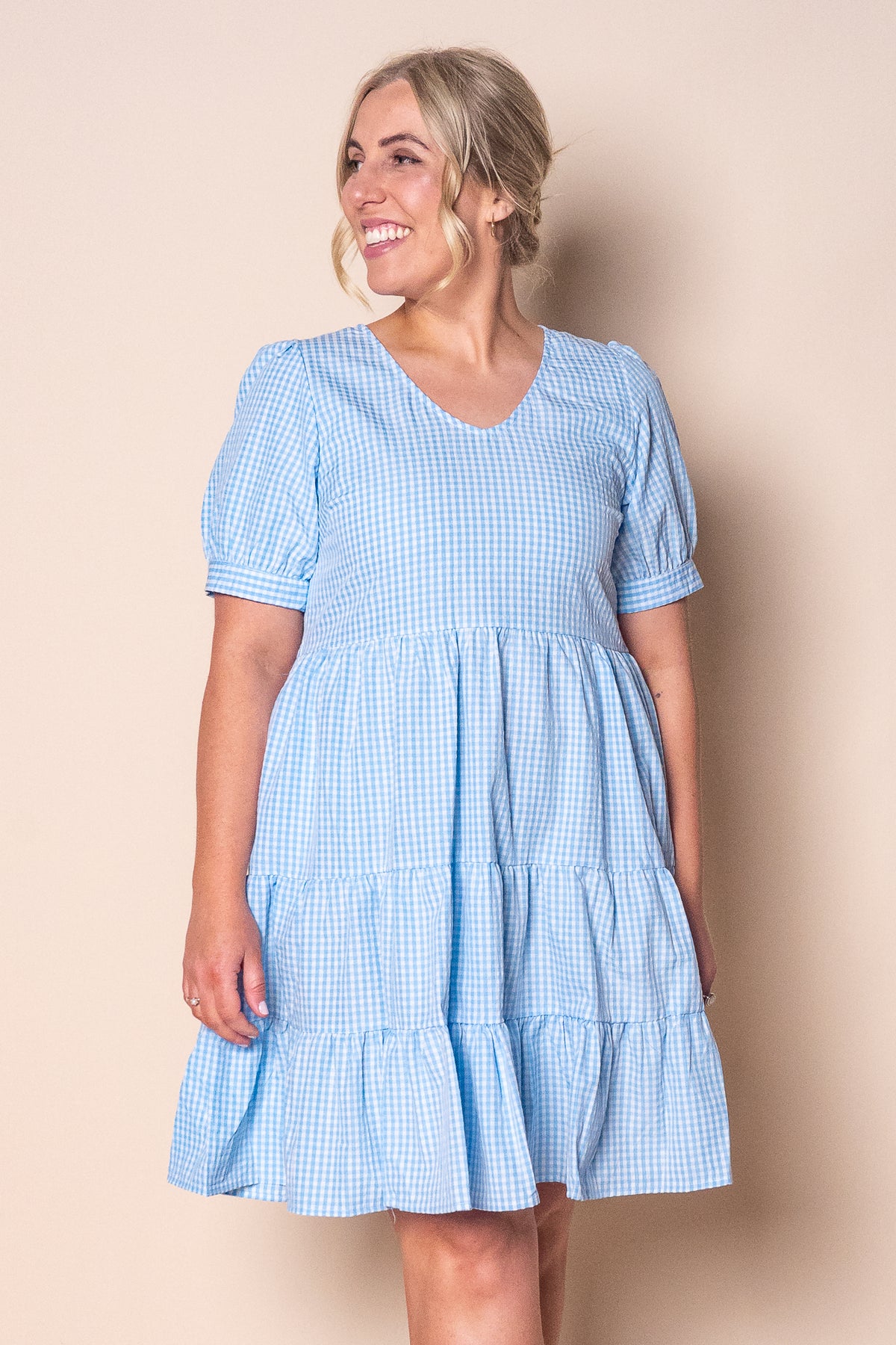 Yansi Gingham Dress in Blue Always Alice Yansi Gingham Dress in Blue Always Alice