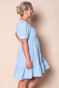 Yansi Gingham Dress in Blue