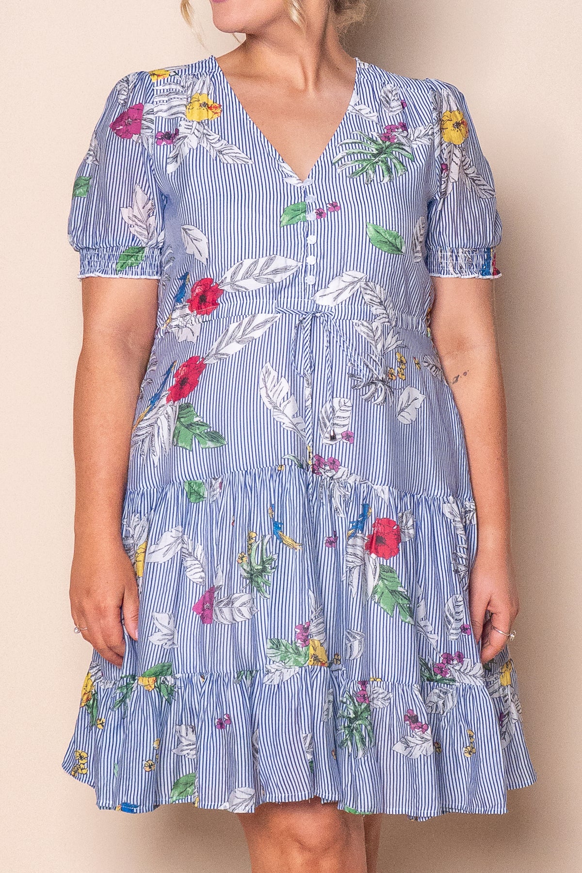 Winsletta Floral Striped Dress in Blue