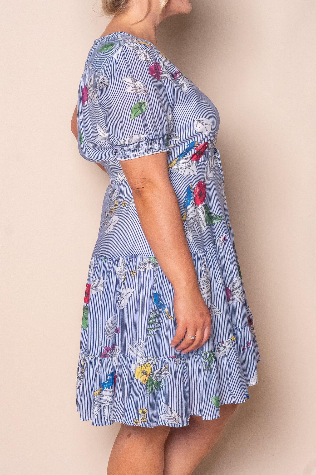 Winsletta Floral Striped Dress in Blue