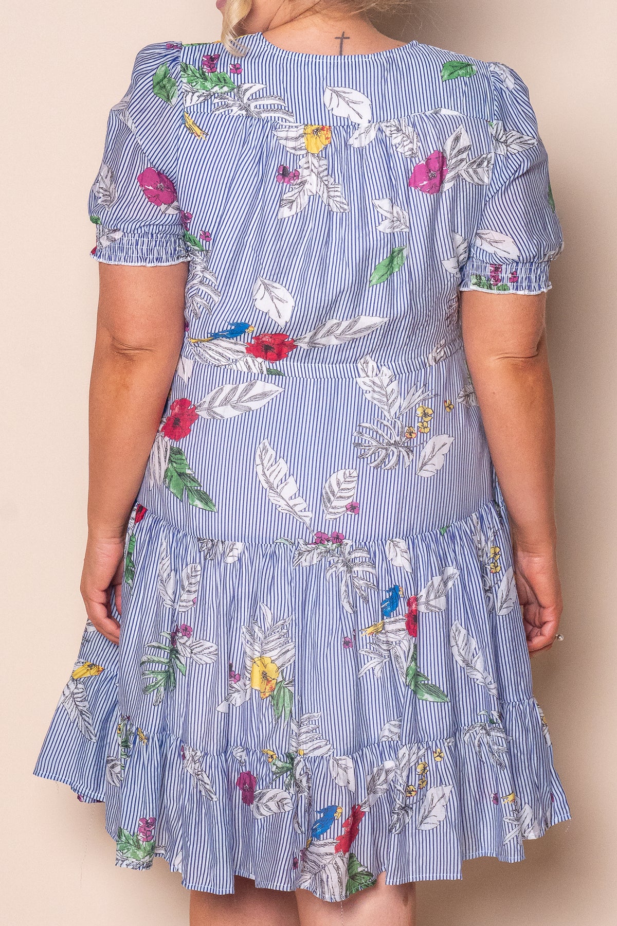 Winsletta Floral Striped Dress in Blue