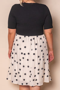 Solenne Polka Dot Dress in Black/Ivory