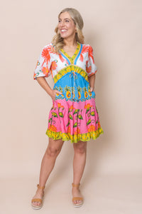 Estelle Dress in Multi