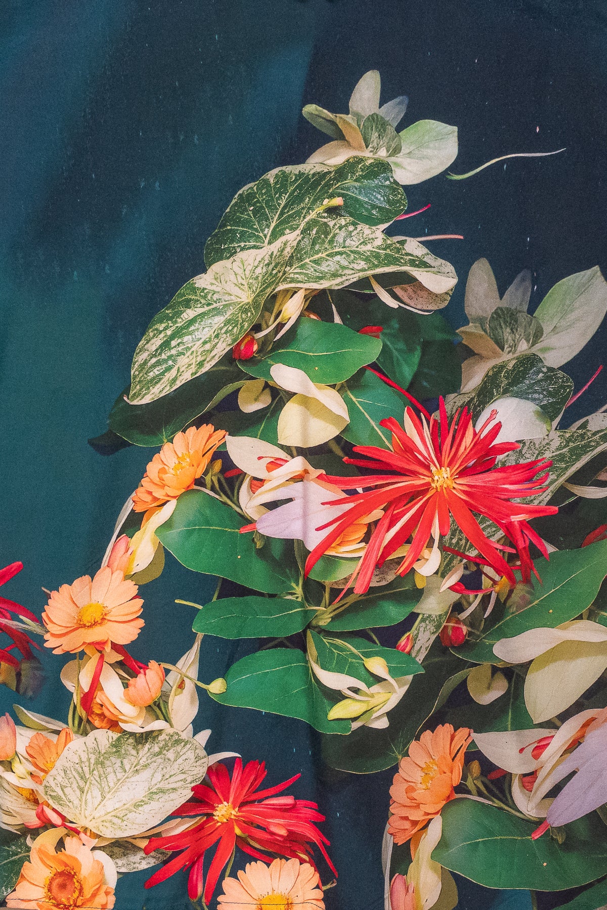 Terri Maxi Dress in Dark Teal