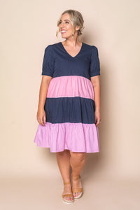 Emily Panelled Dress in Navy/Pink