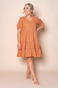 Yansi Gingham Dress in Toffee Apple