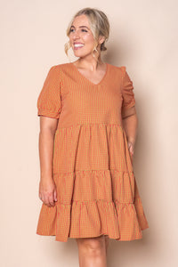 Yansi Gingham Dress in Toffee Apple