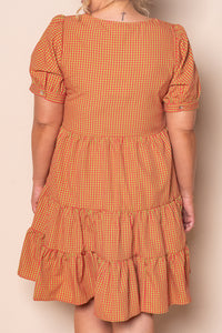 Yansi Gingham Dress in Toffee Apple