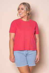 AAE Washed Tee in Berry - All About Eve