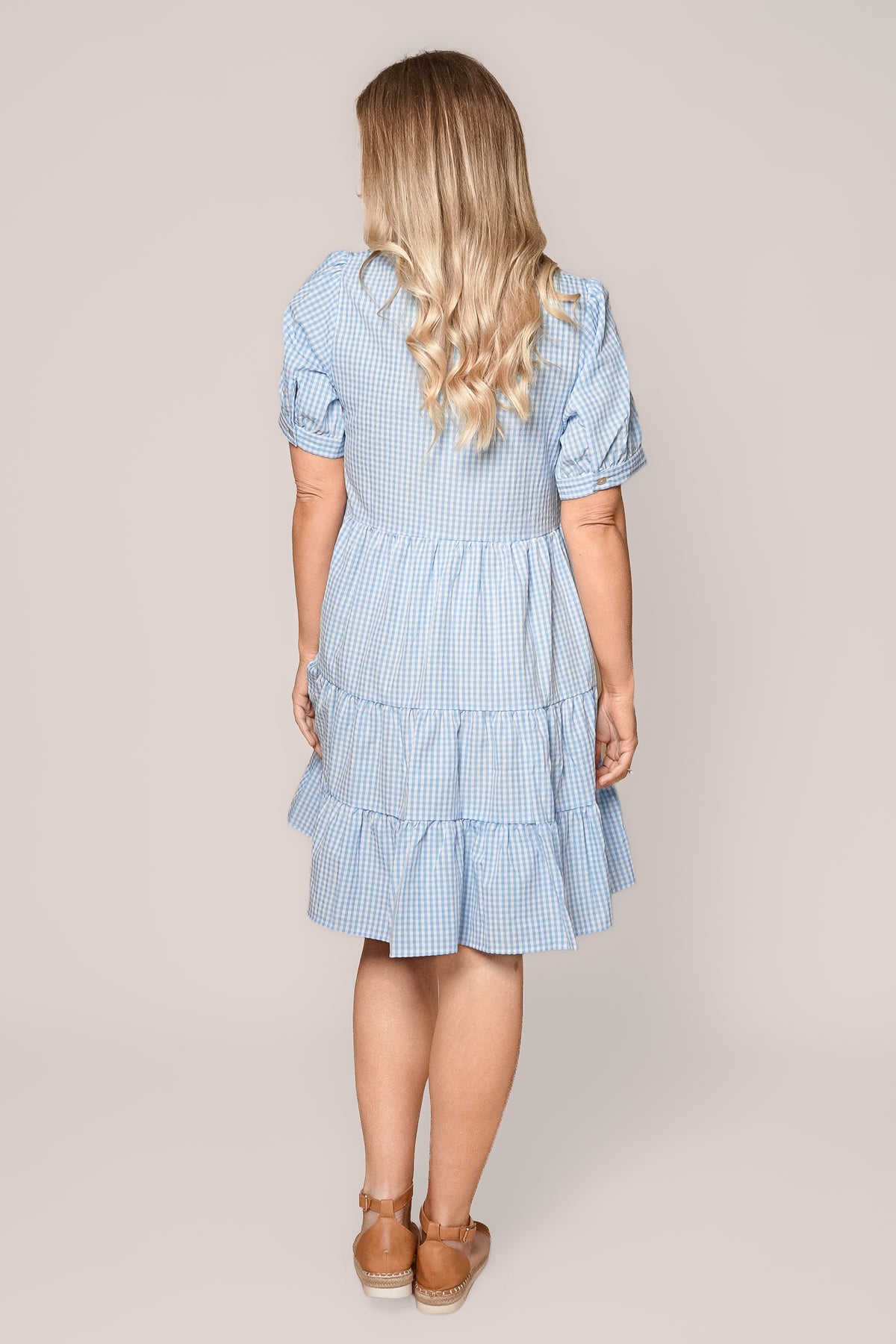 Yansi Gingham Dress in Light Blue